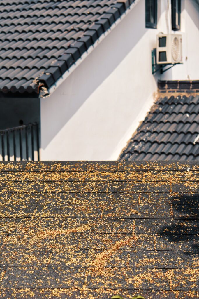 Waterproofing contractor applying membrane to a rooftop surface in the UAE