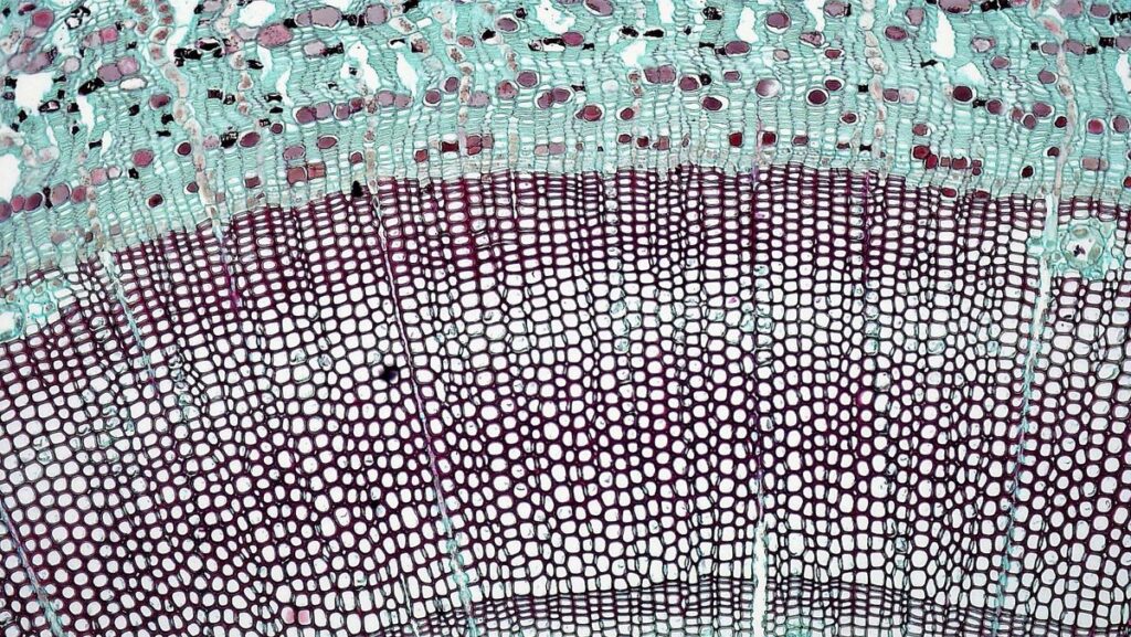 Crystalline Waterproofing Is Essential for Buildings
