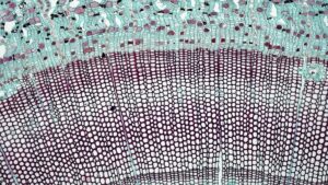 Crystalline Waterproofing Is Essential for Buildings