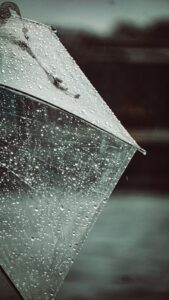 Best Waterproofing for Rooftop Gardens in Dubai
