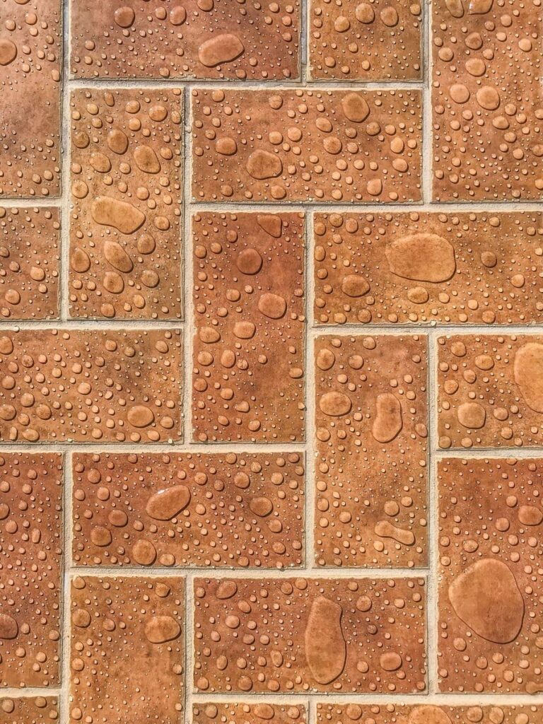 Fix Wall Dampness and Prevent Future Damage